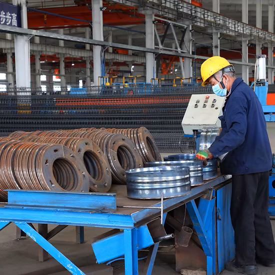 CNC Punching Mould Machine for Steel Flange